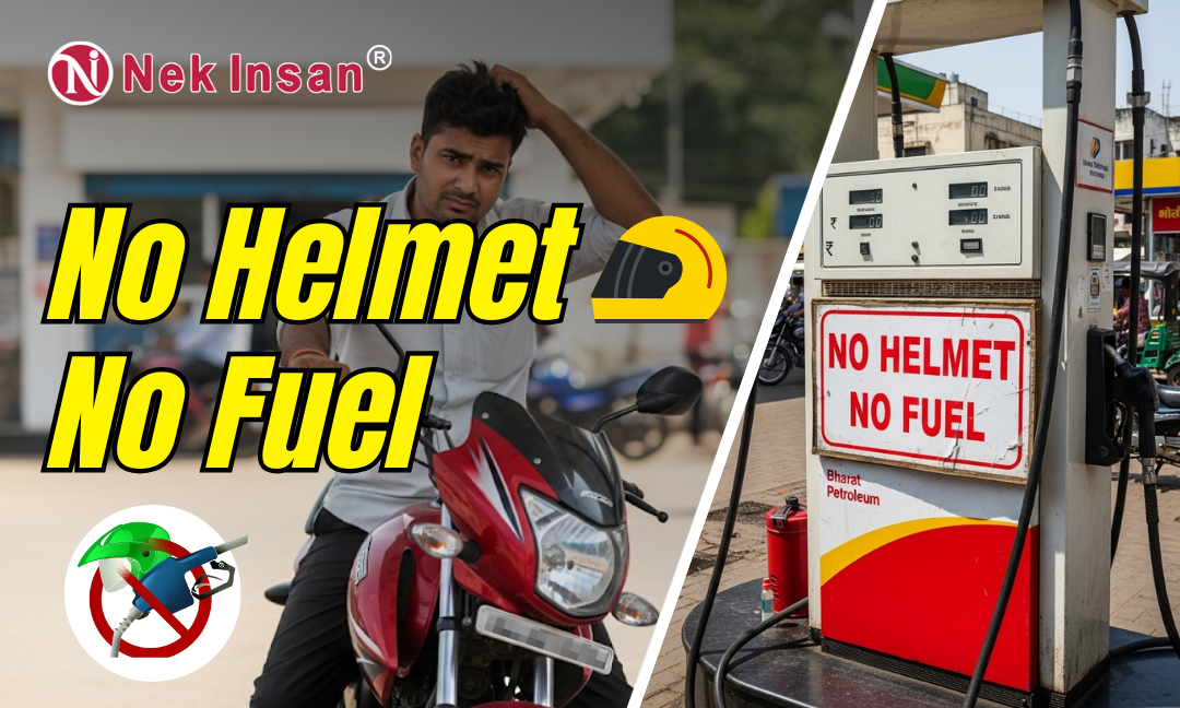 Pet safety QR sticker